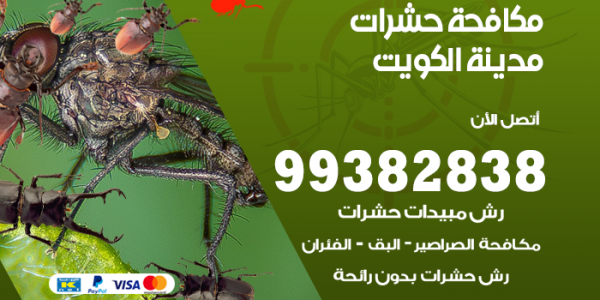 مكافحة حشرات مدينة الكويت