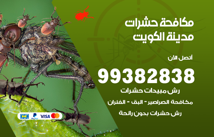 مكافحة حشرات مدينة الكويت